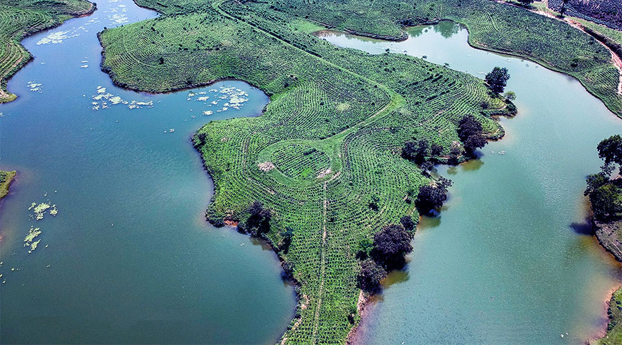 ক্যামেলিয়া লেক –  শ্রীমঙ্গল