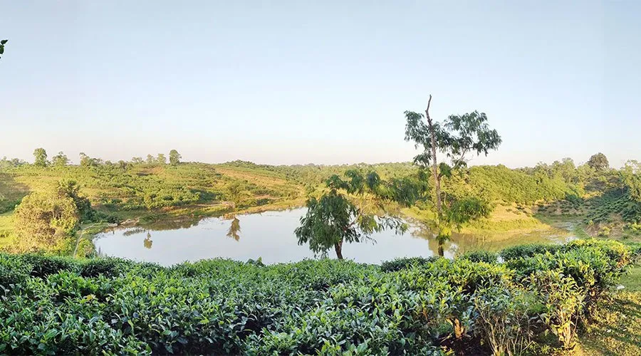 ভাড়াউড়া লেক – শ্রীমঙ্গল